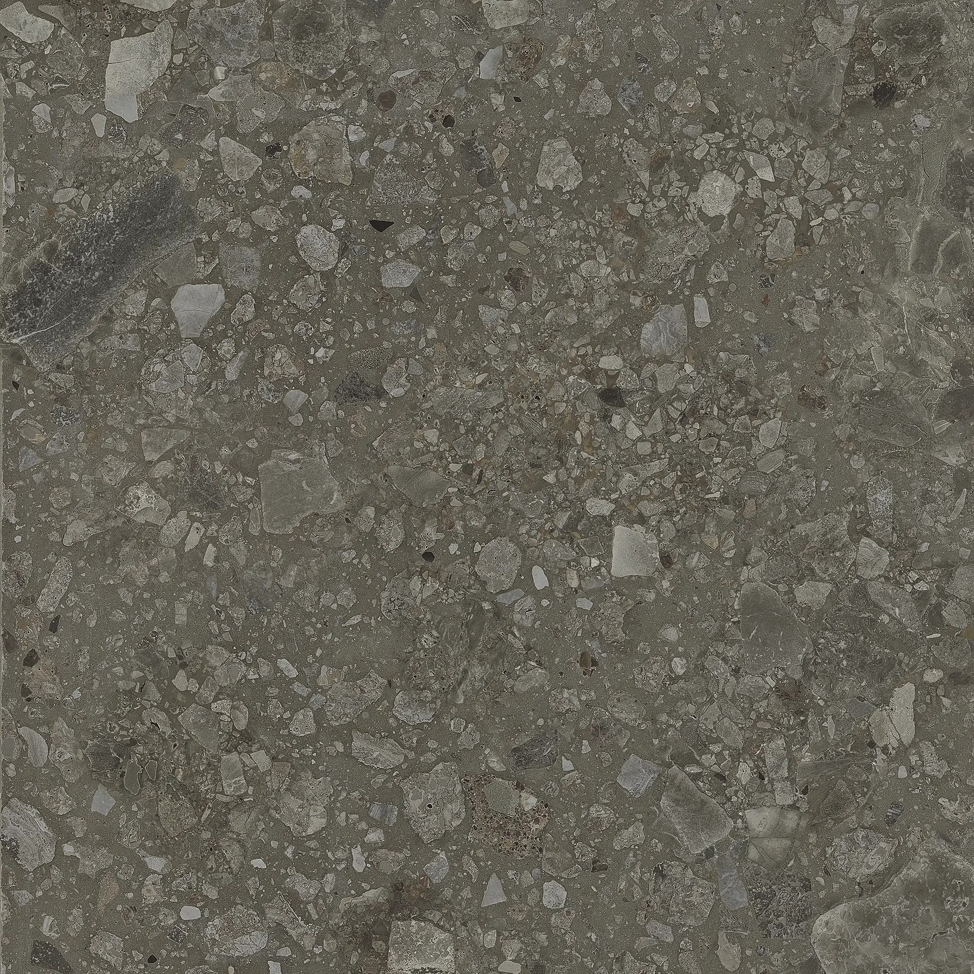 Carrelage Aspect terrazzo Berma noir rectifié 60x60 cm
