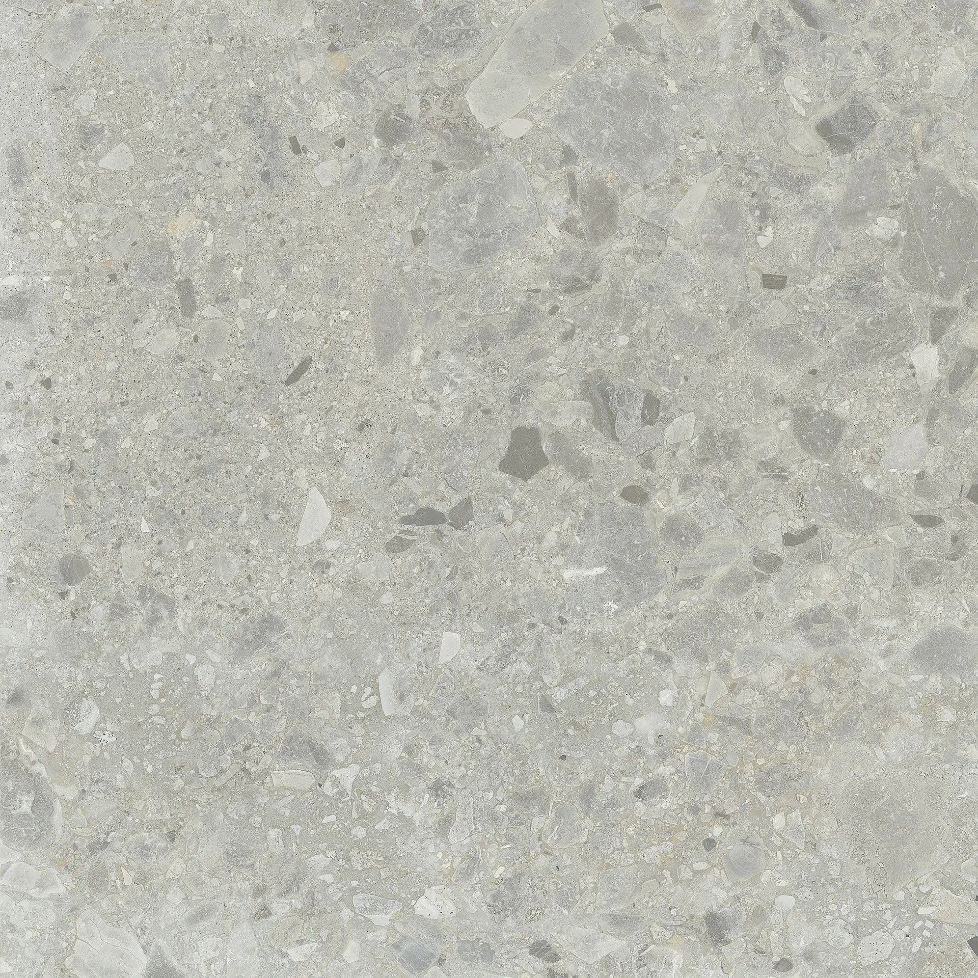 Carrelage Aspect terrazzo Berma gris R-11 60x60 cm