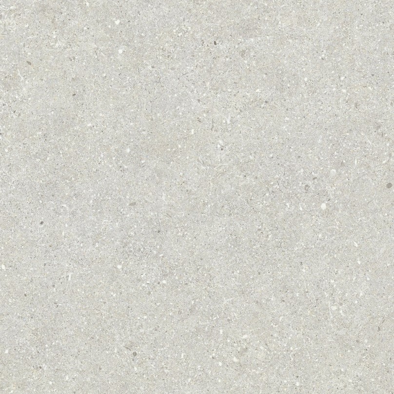 Carrelage Aspect béton  Bruch gris clair antiderapant R-11 60x60 cm